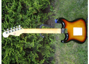 Squier Standard Series - Standard Stratocaster