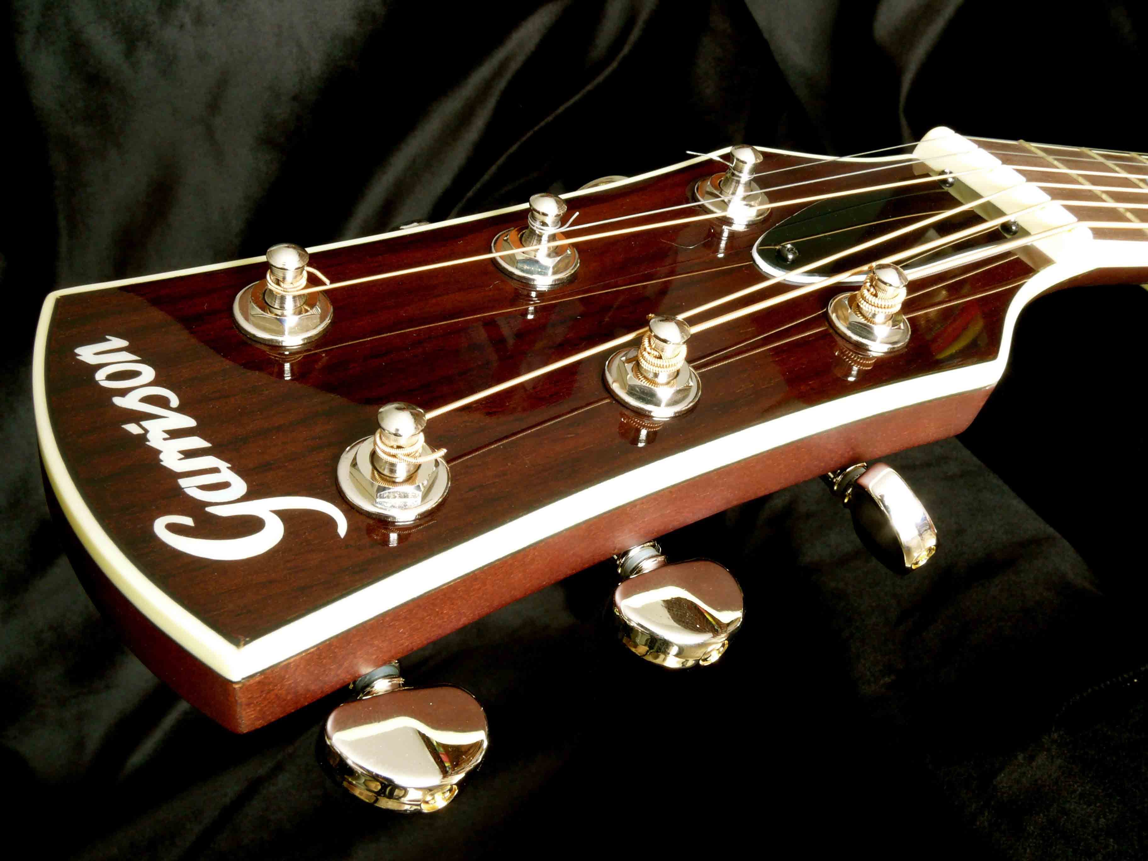 Pictures and images Garrison AG 700 CE - Audiofanzine