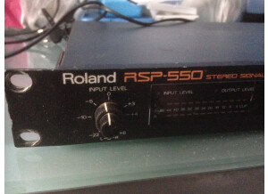 Roland RSP-550 (33850)