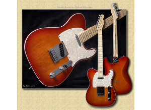 Fender Tele American Deluxe