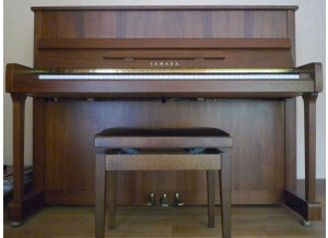 Yamaha P116T