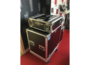 Trace Elliot AH300-12 serie 6 (66852)