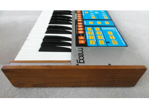Moog Music The Source (37098)