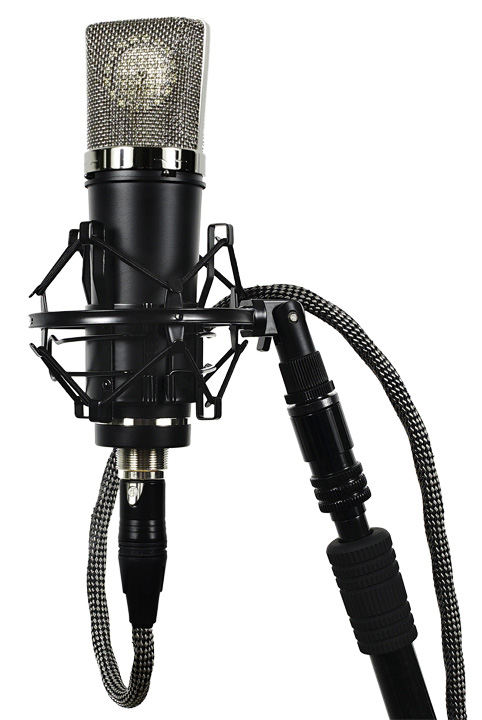 Lauten Audio LA-220 : LA220 mount WEB2