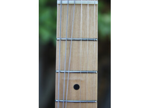 Fender Classic '72 Telecaster Thinline (68587)