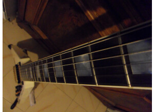 Gibson Flying V Custom (97211)