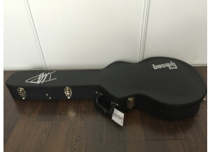Gibson Dave Grohl ES-335 (10277)