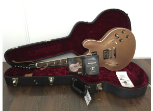 Gibson Dave Grohl ES-335 (6770)