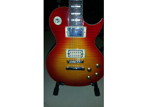 Gibson Les Paul Standard (22811)