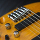 GVB1006 Gerald Veasley Signature GVB1006 Gerald Veasley Signature