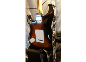 Fender Standard Roland Ready Stratocaster [2009-2011] (74959)
