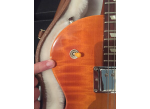 Gibson Gary Moore Les Paul Standard 2013 (55279)