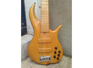 F Bass BN5 (40905)