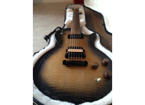 Gibson Les Paul BFG (16541)
