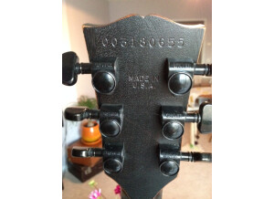 Gibson Les Paul BFG (99969)