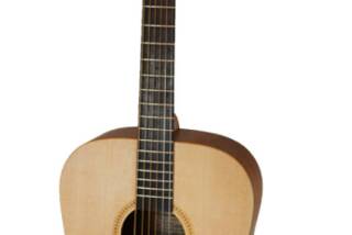 Dowina Puella D-S