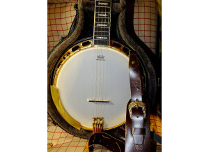 Fender FB-59 Banjo