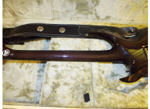 ESP Forest-GT - See Thru Black (34364)