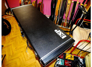 ESP Forest-GT - See Thru Black (63633)