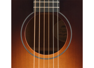 USA MOON LIGHT Acoustic guitars SH