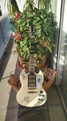 Az By Wsl Guitars SG 3 micro