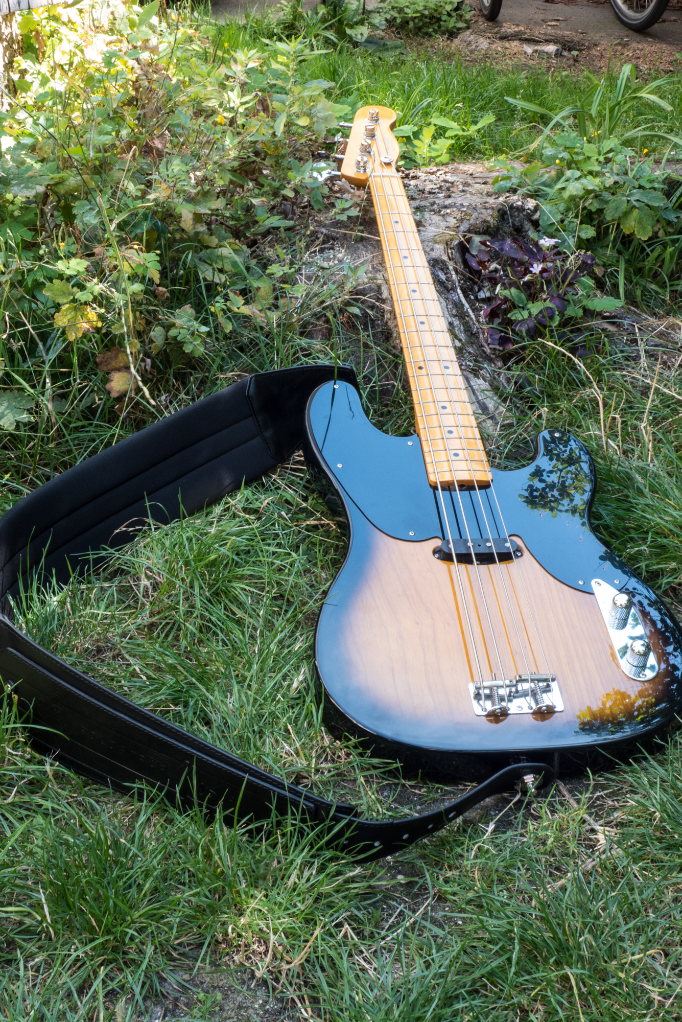 Fender OPB51-95SD