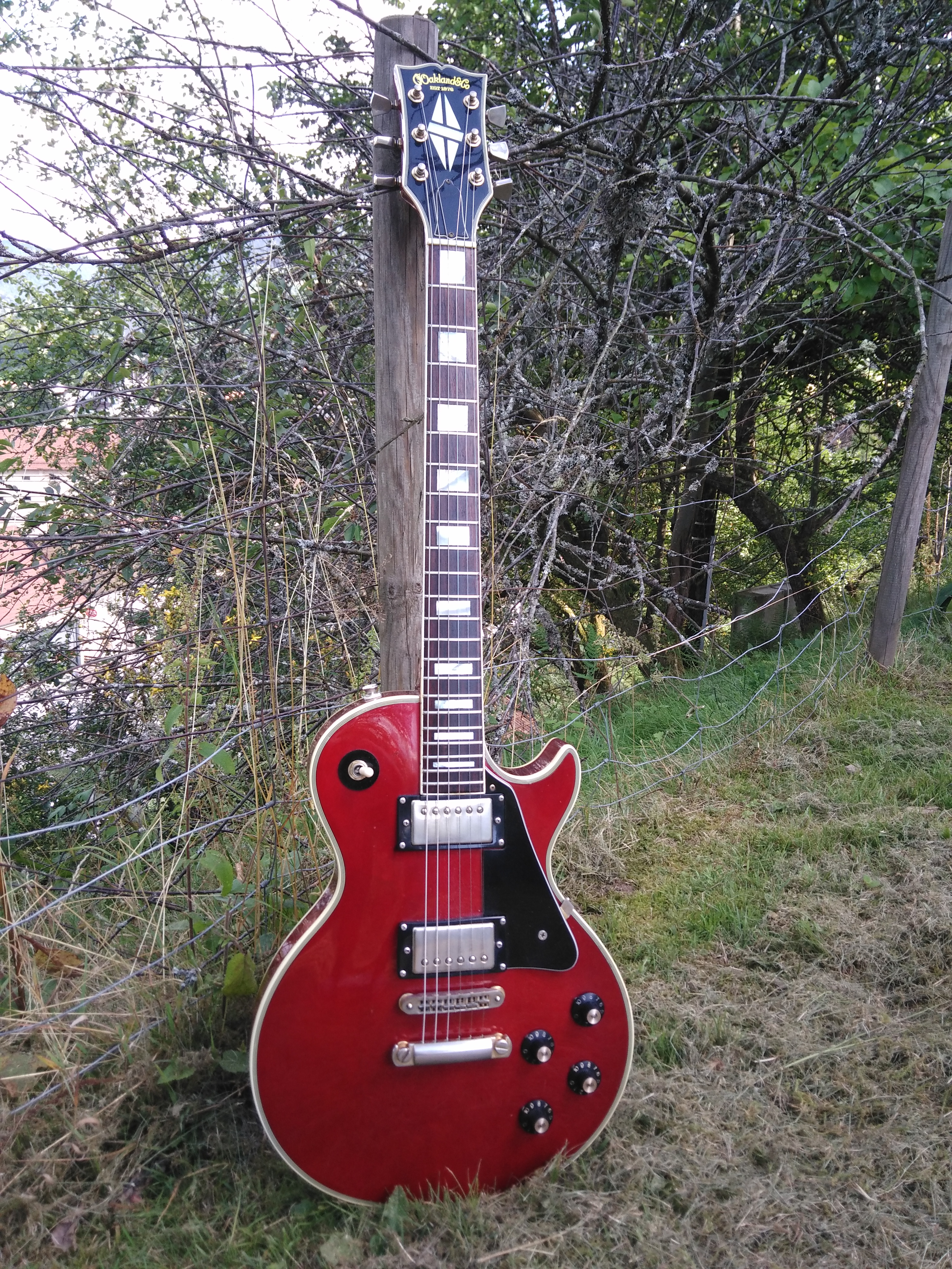 Oackland Les Paul Custom