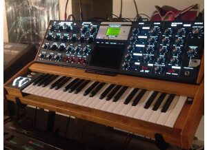 Moog Music Minimoog Voyager Performer Edition (39322)