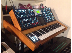 Moog Music Minimoog Voyager Performer Edition (32411)