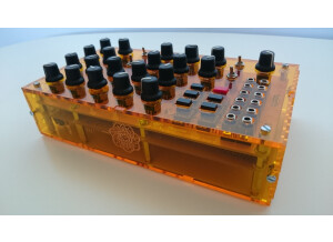 Mutable Instruments Anushri (6720)