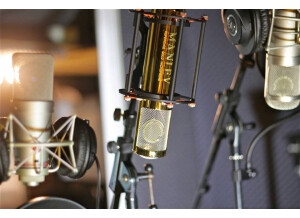Manley Labs Gold Reference (54402)