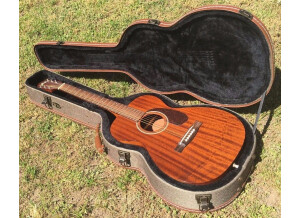 Buy Guild GAD M 20 Acoustic guitar with tweed hard shell case