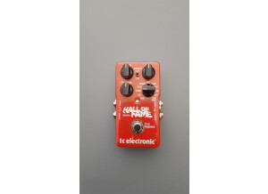 TC Electronic Hall of Fame Reverb (98422)