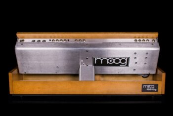 model D back model D back