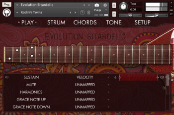 EvolutionSitardelicInterface EvolutionSitardelicInterface