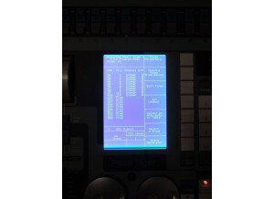 Avolites Pearl Tiger (76326)