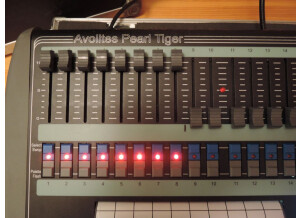 Avolites Pearl Tiger (23359)