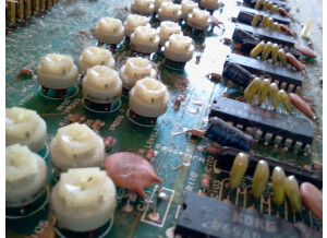 Korg Dw-8000 (81730)