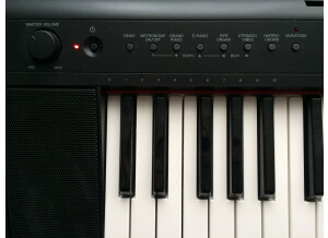 Yamaha NP-11 (85392)
