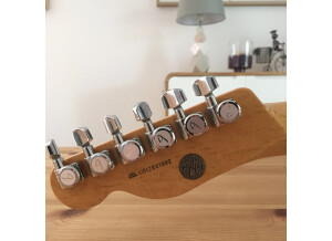 Fender Select Telecaster (55835)
