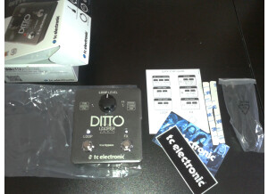 TC Electronic Ditto X2 (2507)
