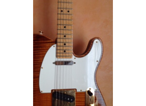 Fender Select Telecaster (58459)