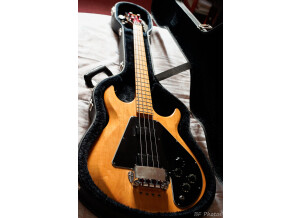 Gibson Ripper Bass (81482)