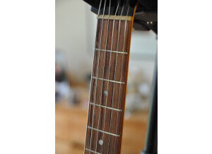 Fano Guitars SP6 (31003)