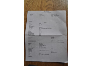 Fano Guitars SP6 (91623)