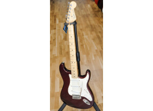 Fender Strat 01
