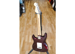 Fender Strat 04