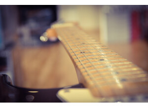 Fender Strat 06