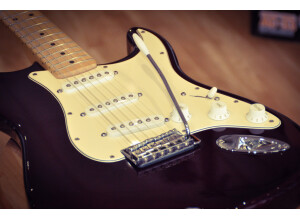 Fender Strat 07