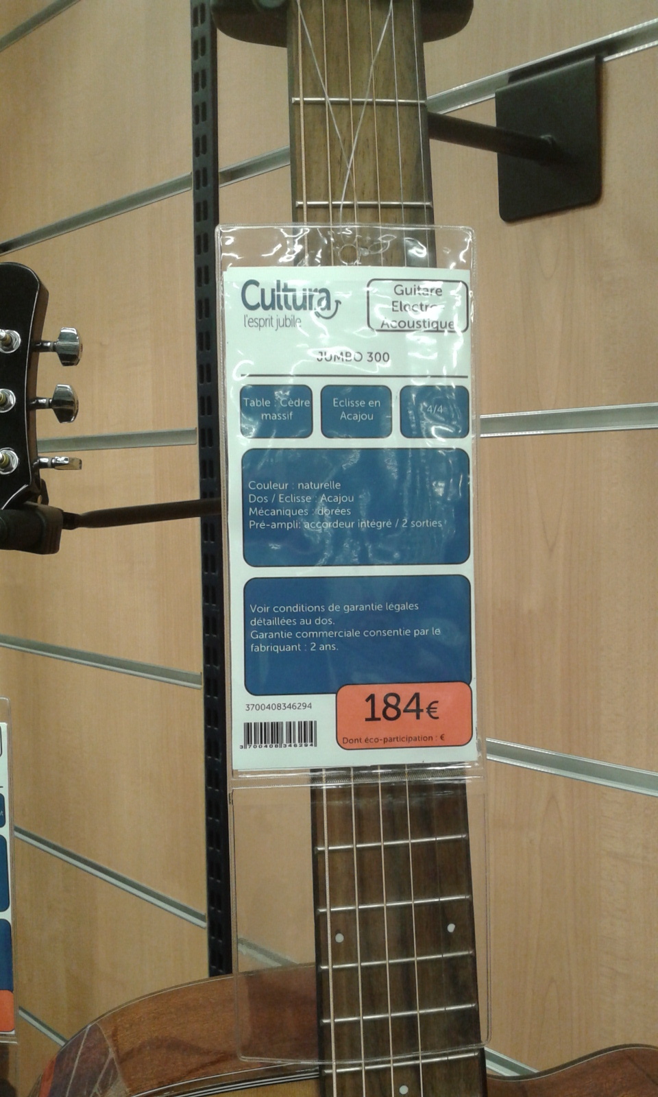 Elypse Guitars Jumbo 300